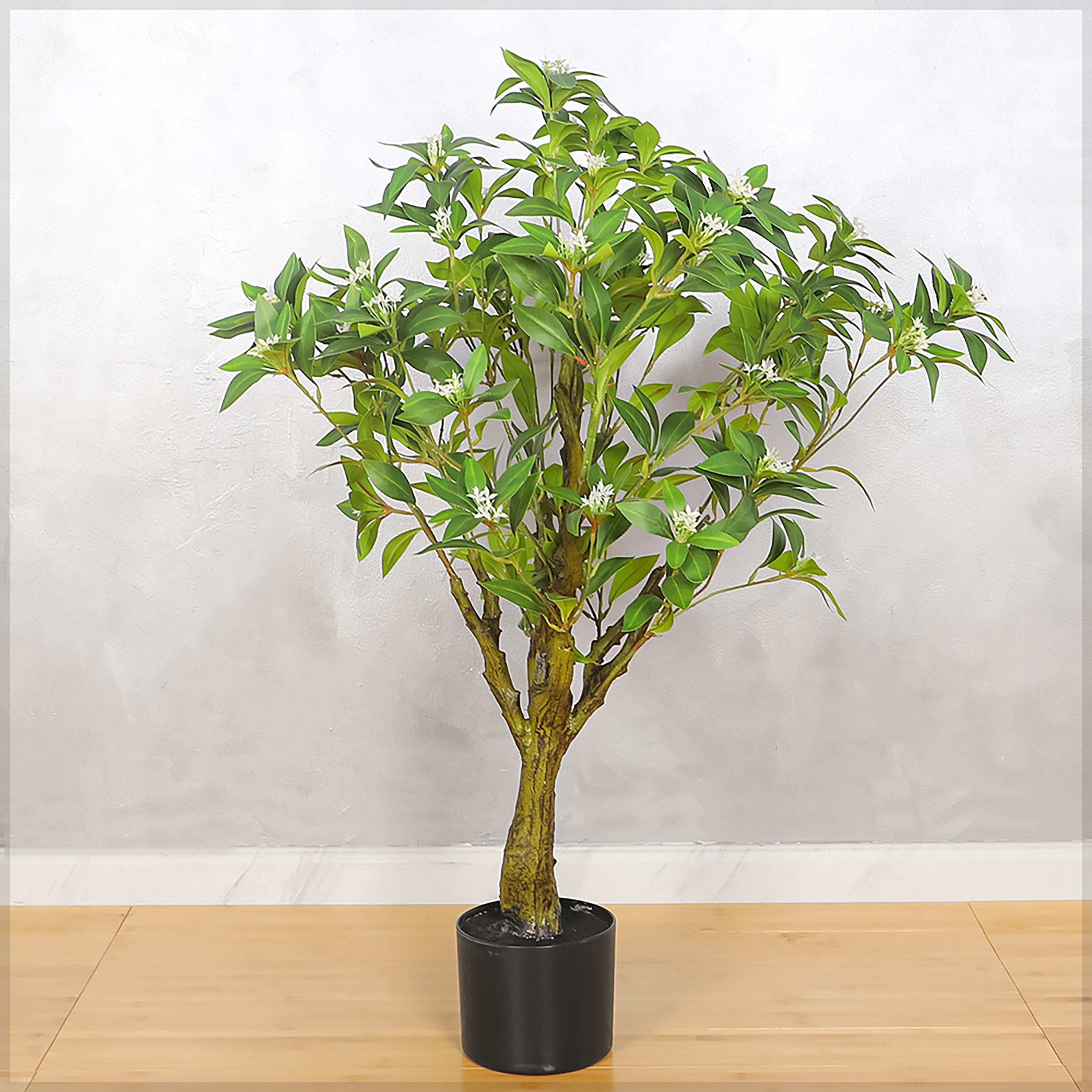 Jasmine Tree in Pot - 95 cm