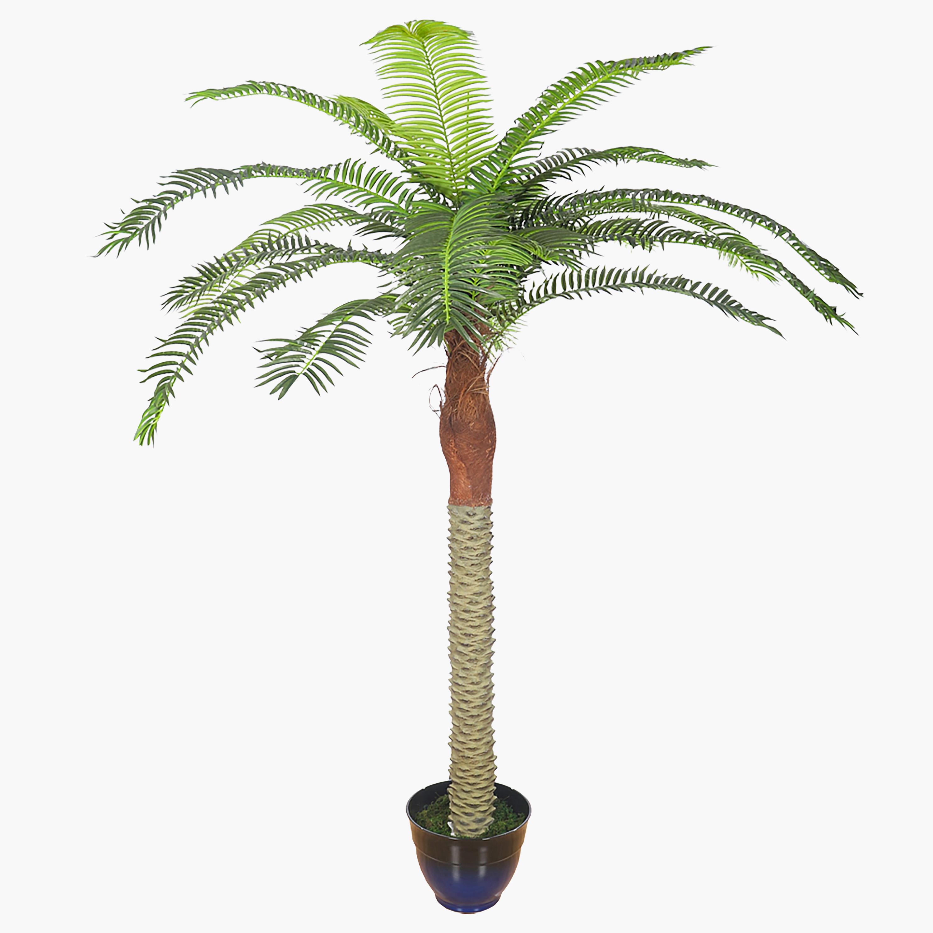 Palm Tree - 170 cm