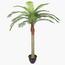 Palm Tree - 170 cm-InfluencerCodes_Ramadan26_All_20012026-image-1