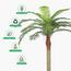 Palm Tree - 170 cm-InfluencerCodes_Ramadan26_All_20012026-image-3