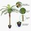 Palm Tree - 170 cm-InfluencerCodes_Ramadan26_All_20012026-image-4