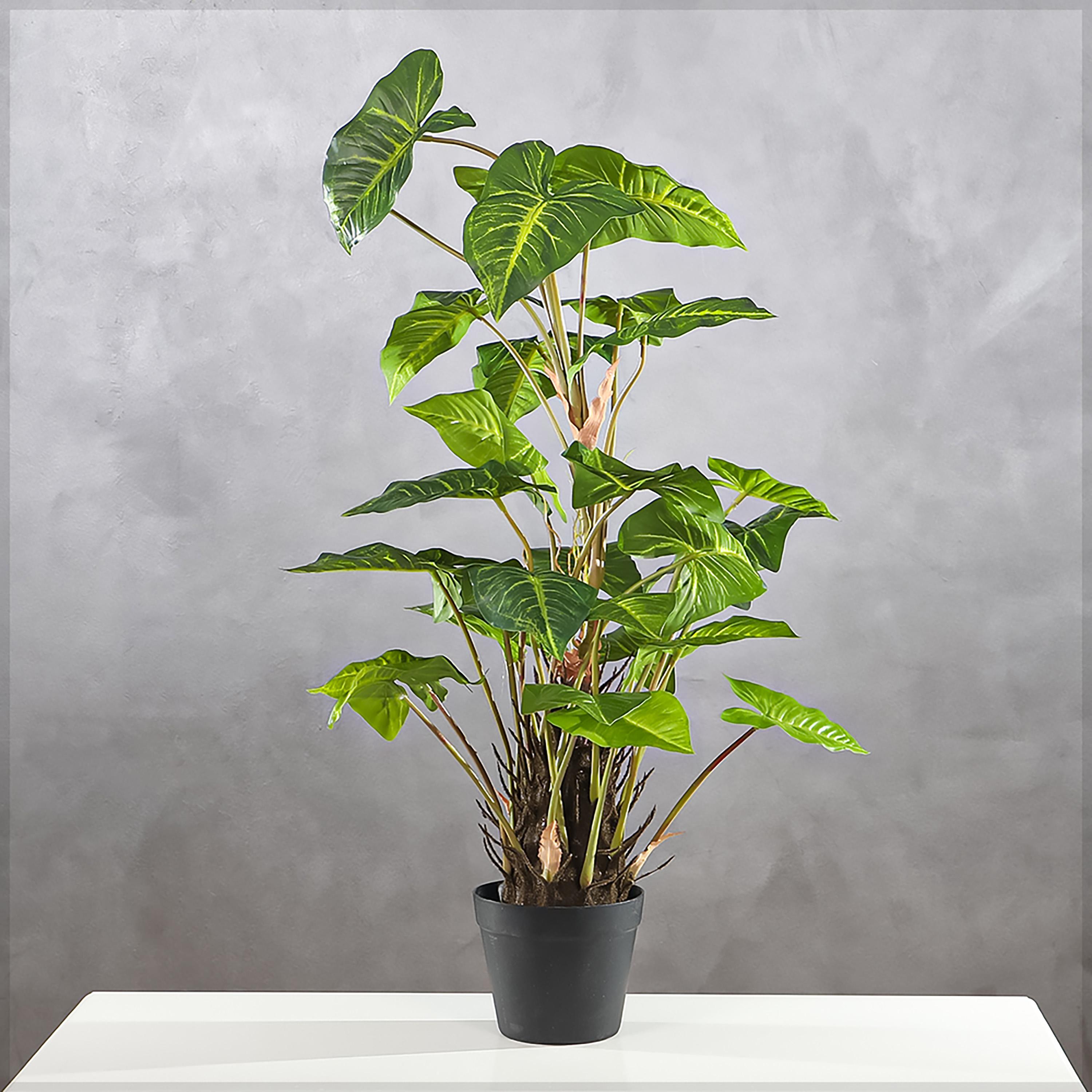 Monstera Plant in Pot - 95 cm