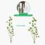 شجرة المورينجا - 260 سم-InfluencerCodes_Ramadan26_All_20012026-image-4
