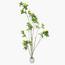 شجرة المورينجا - 260 سم-InfluencerCodes_Ramadan26_All_20012026-image-5