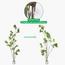 شجرة المورينجا - 260 سم-InfluencerCodes_Ramadan26_All_20012026-image-3