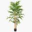 Bamboo Plant - 170 cm-InfluencerCodes_Ramadan26_All_20012026-image-1
