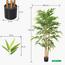 Bamboo Plant - 170 cm-InfluencerCodes_Ramadan26_All_20012026-image-6