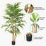 Bamboo Plant - 170 cm-InfluencerCodes_Ramadan26_All_20012026-image-4