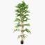 Bamboo Plant - 230 cm-InfluencerCodes_Ramadan26_All_20012026-image-1