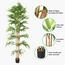 Bamboo Plant - 230 cm-InfluencerCodes_Ramadan26_All_20012026-image-4