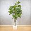 شجرة فيكس - 190 سم-InfluencerCodes_Ramadan26_All_20012026-image-5