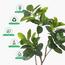 نبتة المطاط في إناء - 130 سم-InfluencerCodes_Ramadan26_All_20012026-image-2