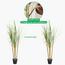 شجرة خيزران - 120 سم-InfluencerCodes_Ramadan26_All_20012026-image-4