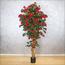 Bougainvillaea Plant in Pot - 210 cm-InfluencerCodes_Ramadan26_All_20012026-image-1