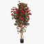 Bougainvillaea Plant in Pot - 210 cm-InfluencerCodes_Ramadan26_All_20012026-image-2