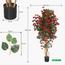 Bougainvillaea Plant in Pot - 210 cm-InfluencerCodes_Ramadan26_All_20012026-image-3