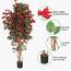 Bougainvillaea Plant in Pot - 210 cm-InfluencerCodes_Ramadan26_All_20012026-image-6