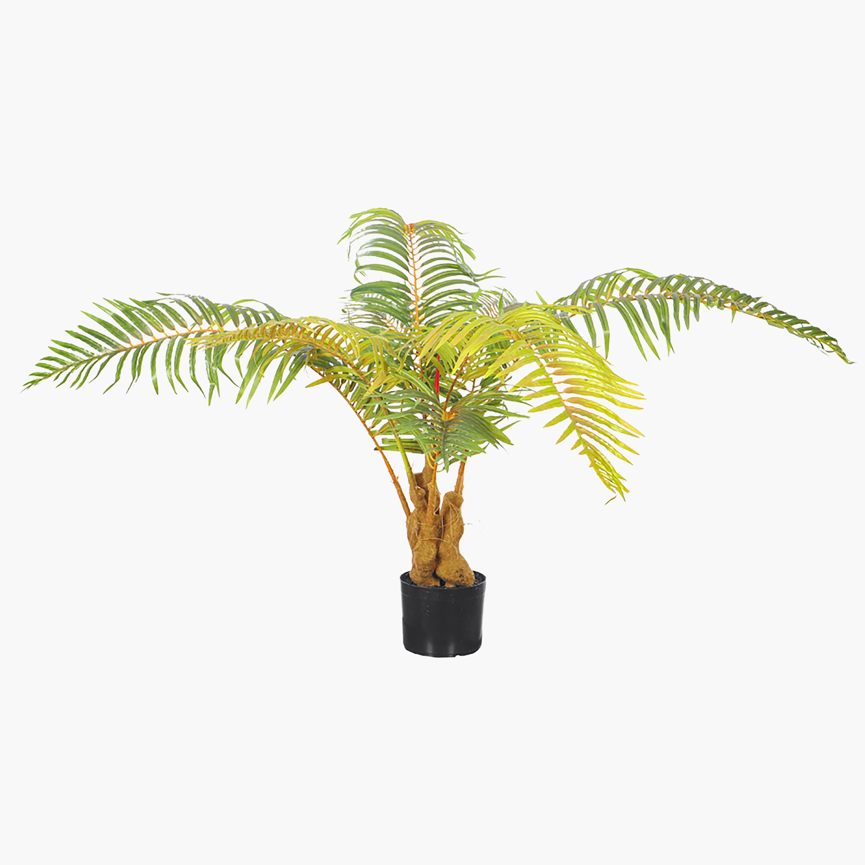 Fern Palm Tree - 160 cm