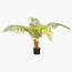 نخلة السرخس - 160 سم-InfluencerCodes_Ramadan26_All_20012026-image-5