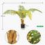 نخلة السرخس - 160 سم-InfluencerCodes_Ramadan26_All_20012026-image-4
