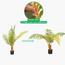 نخلة السرخس - 160 سم-InfluencerCodes_Ramadan26_All_20012026-image-3