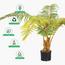 نخلة السرخس - 160 سم-InfluencerCodes_Ramadan26_All_20012026-image-2