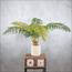نخلة السرخس - 160 سم-InfluencerCodes_Ramadan26_All_20012026-image-1
