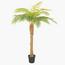 Fern Palm Tree - 160 cm-InfluencerCodes_Ramadan26_All_20012026-image-1