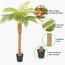 Fern Palm Tree - 160 cm-InfluencerCodes_Ramadan26_All_20012026-image-5