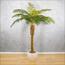 Fern Palm Tree - 160 cm-InfluencerCodes_Ramadan26_All_20012026-image-6