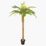 نخلة السرخس - 160 سم-InfluencerCodes_Ramadan26_All_20012026-image-6
