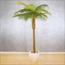 نخلة السرخس - 160 سم-InfluencerCodes_Ramadan26_All_20012026-image-1