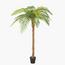 نخلة السرخس - 160 سم-InfluencerCodes_Ramadan26_All_20012026-image-6