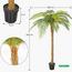 نخلة السرخس - 160 سم-InfluencerCodes_Ramadan26_All_20012026-image-5