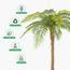 نخلة السرخس - 160 سم-InfluencerCodes_Ramadan26_All_20012026-image-3