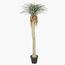 نخلة يوكا - 275 سم-InfluencerCodes_Ramadan26_All_20012026-image-6