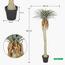 نخلة يوكا - 275 سم-InfluencerCodes_Ramadan26_All_20012026-image-1