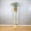 نخلة يوكا - 275 سم-InfluencerCodes_Ramadan26_All_20012026-image-5