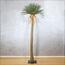 شجرة اليوكا - 275 سم-InfluencerCodes_Ramadan26_All_20012026-image-6