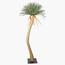 شجرة اليوكا - 275 سم-InfluencerCodes_Ramadan26_All_20012026-image-5