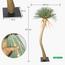 شجرة اليوكا - 275 سم-InfluencerCodes_Ramadan26_All_20012026-image-1