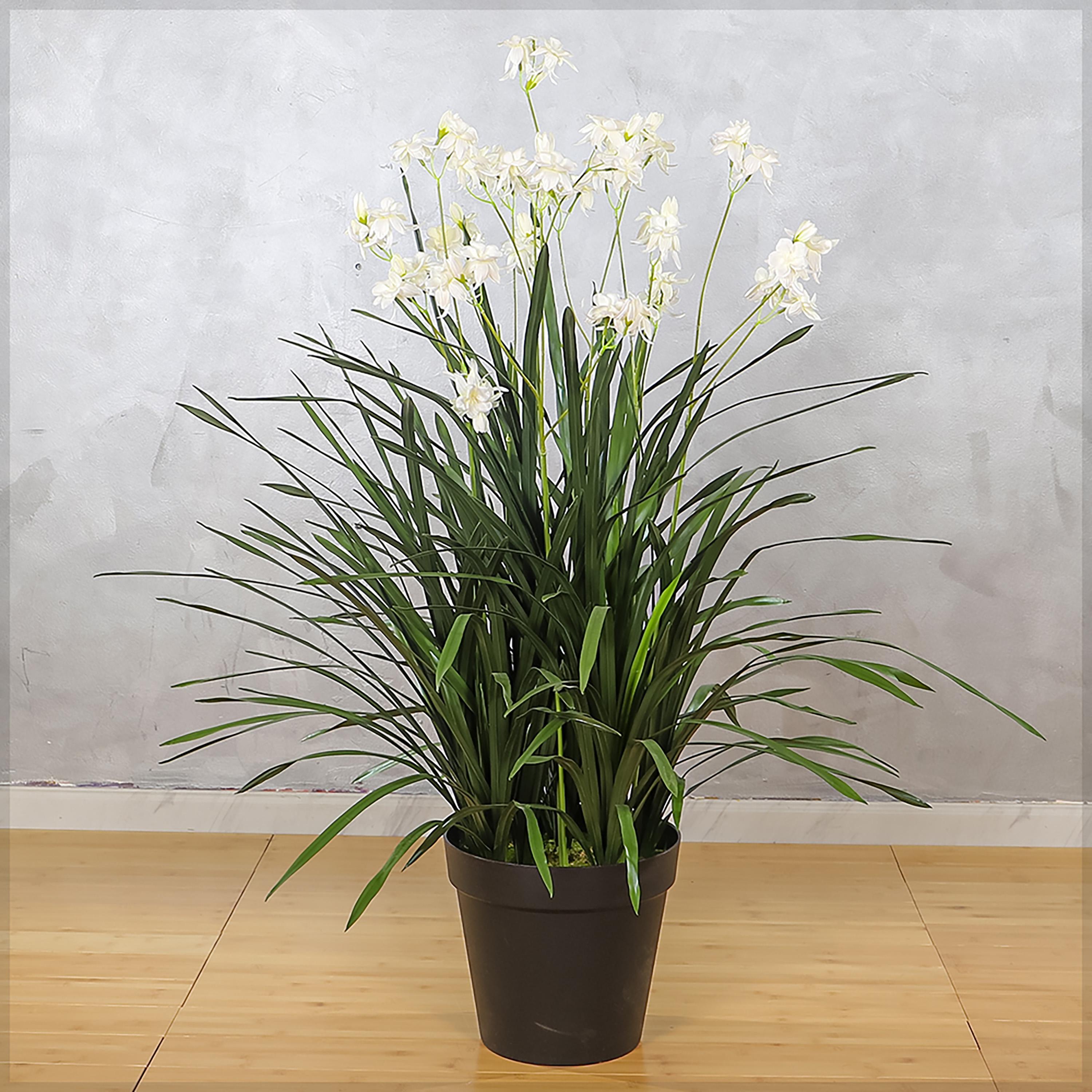 Allium Grass with Flower in Pot - 145 cm