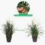 Allium Grass with Flower in Pot - 145 cm-InfluencerCodes_Ramadan26_All_20012026-image-4