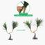 نبات يوكا صحراوي - 145 سم-InfluencerCodes_Ramadan26_All_20012026-image-3