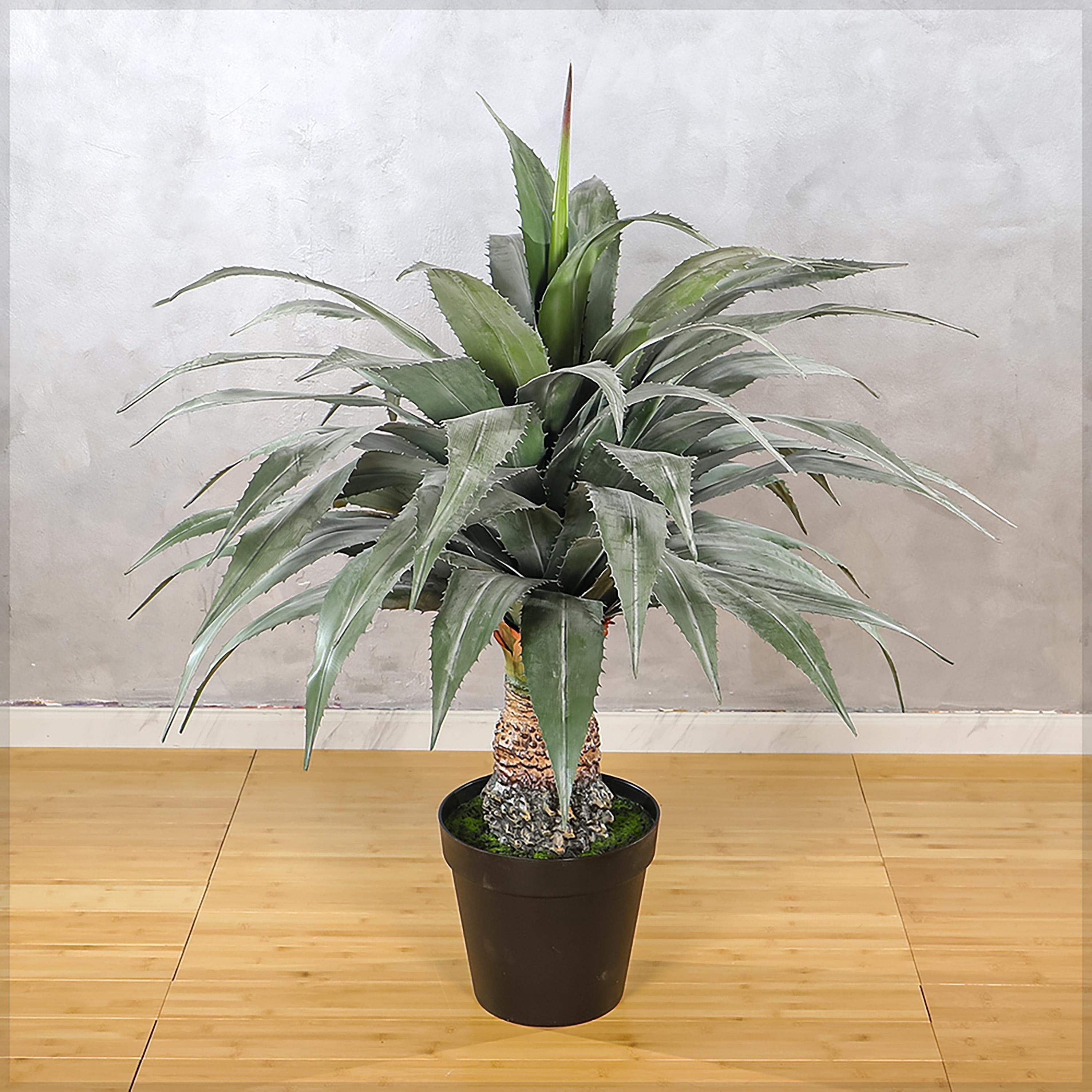 Agave Plant in Pot - 145 cm