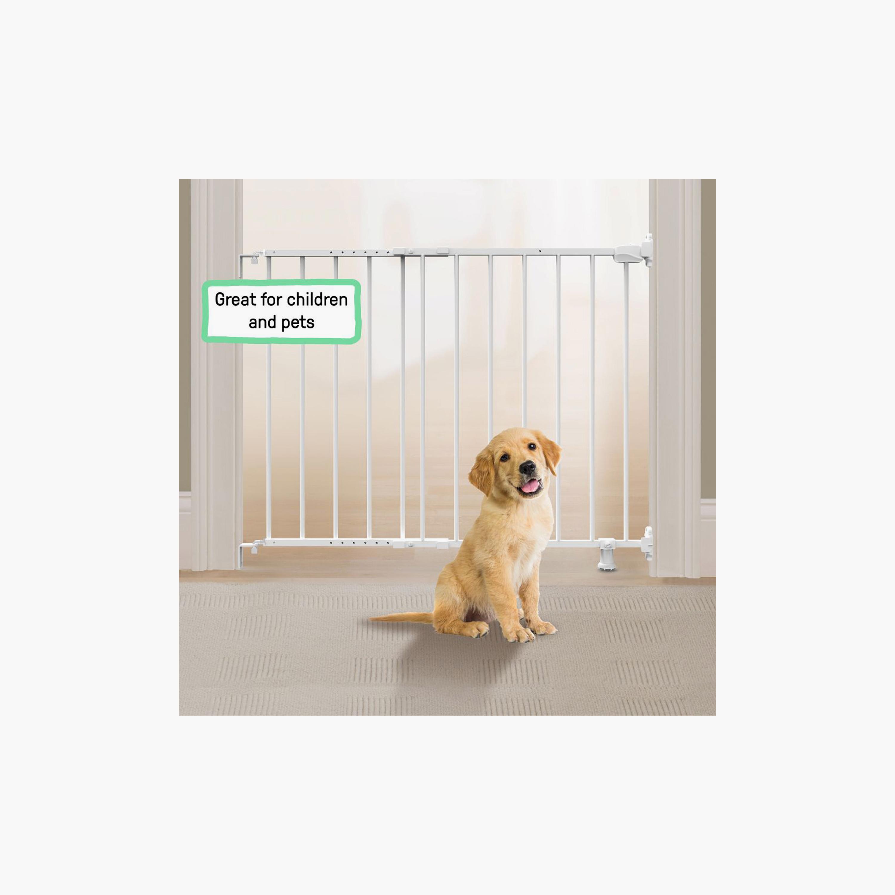 Ingenuity Summer 2-in-1 Safety Gate for Stairs & Hallways with Locking Indicator - Fits 28–42"-baby-healthandsafety-babyproofing-image-5