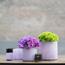 حامل شموع فوتيف زجاجي - دوتز - 7 سم-InfluencerCodes_Ramadan26_All_20012026-image-5