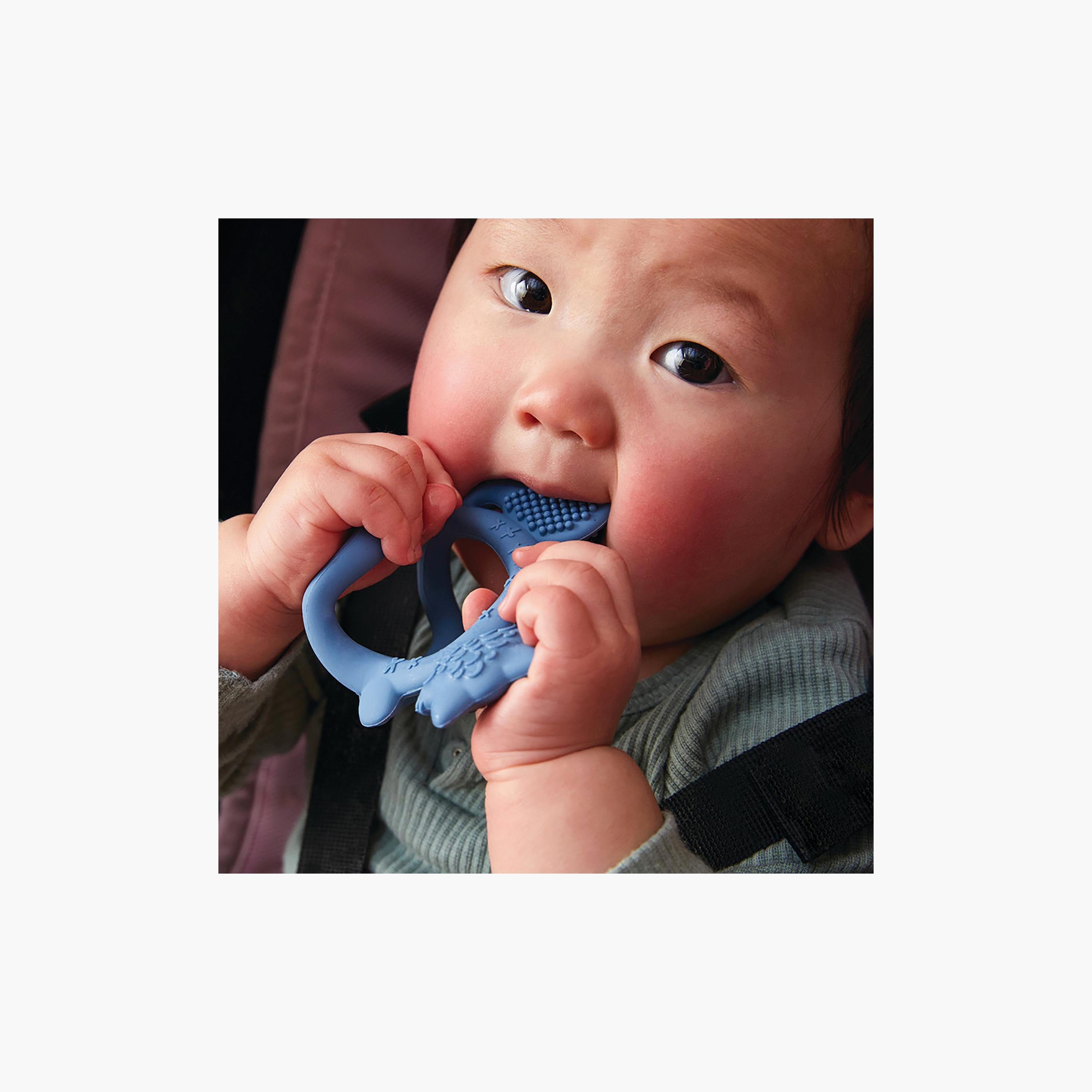 عضاضة معصم من بي.بوكس - 3 أشهر +-baby-feeding-teethers-image-6