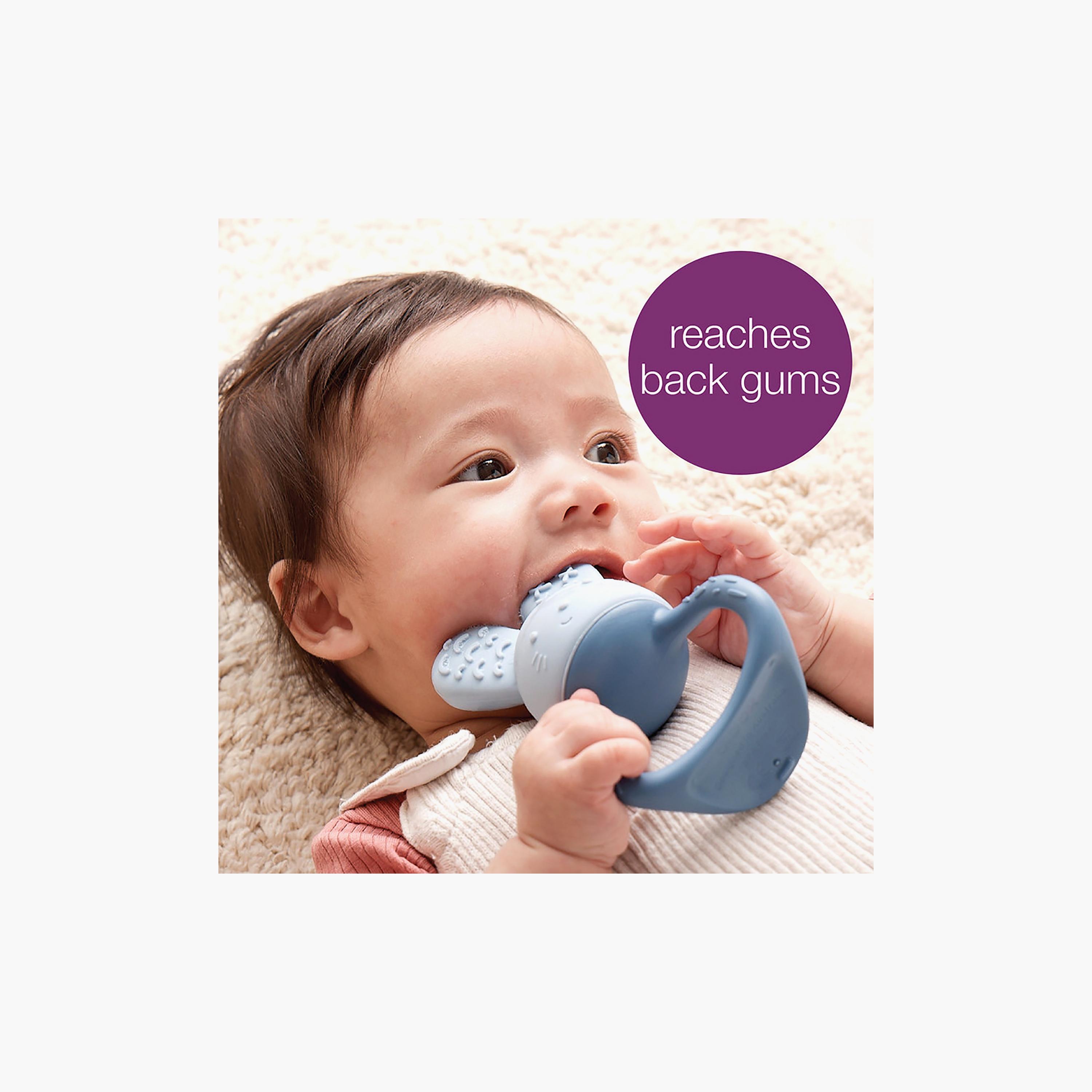 عضاضة تشيل + فيل من بي.بوكس - 3 أشهر +-baby-feeding-teethers-image-5