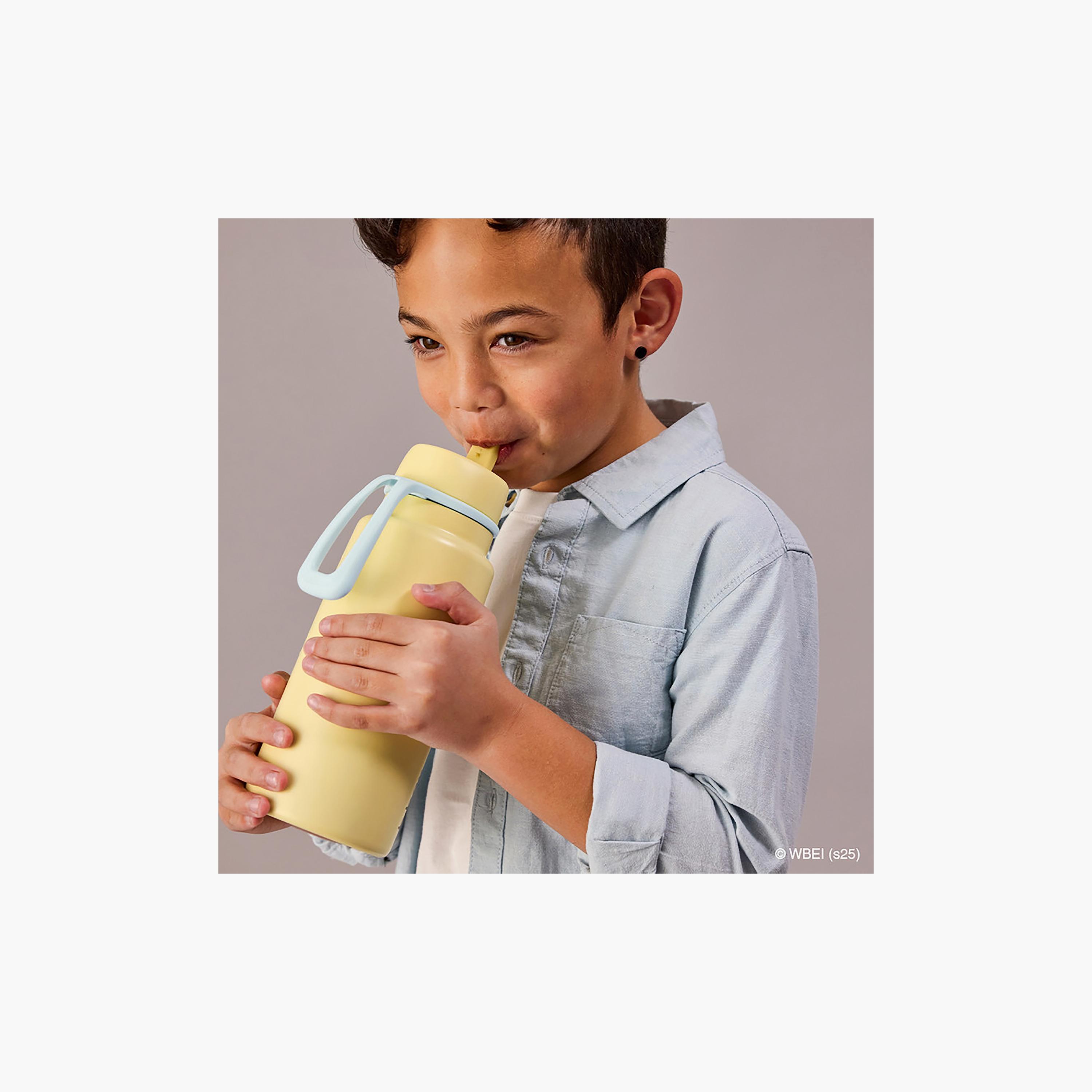 زجاجة مياه معزولة بغطاء قلاب - لوني تونز من بي.بوكس - 1000 مل-school-waterbottles-image-7